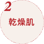 2.乾燥肌