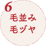 6.肉球のトラブル
