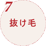 7.抜け毛