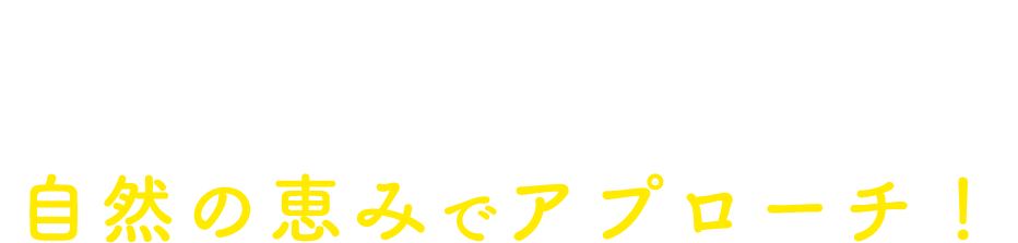 ＜モアモフフォーペットシリーズ＞なら、デリケートな皮膚・被毛部分に自然の恵みでアプローチ！